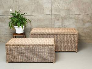 Набор из 2-х сундуков "KARL (140 и 120)", бежевый