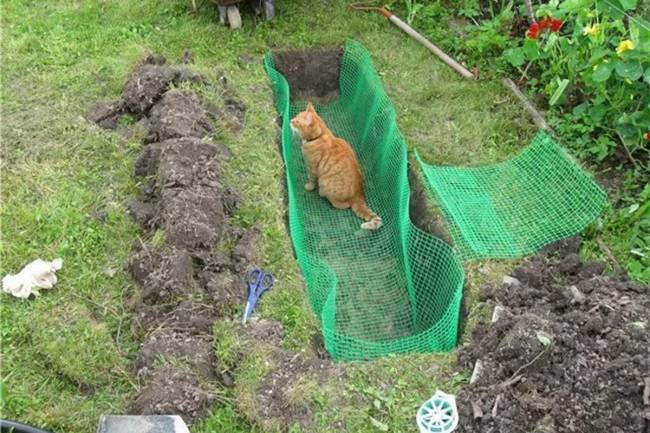 Сетка пластиковая от кротов Black Mole 2х50 м (100 кв.м.)