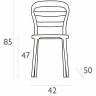 Стул пластиковый Miss Bibi темно-серый, прозрачный 420х500х850 мм